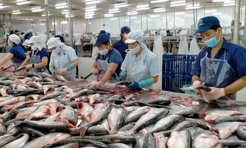 TCVN 14442:2025 hướng dẫn kiểm soát histamin, nâng cao an toàn thủy sản