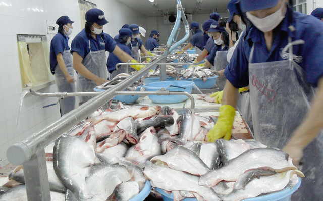 Quy chuẩn kỹ thuật quốc gia về giống cá nước ngọt - Phần 2: Cá ba sa